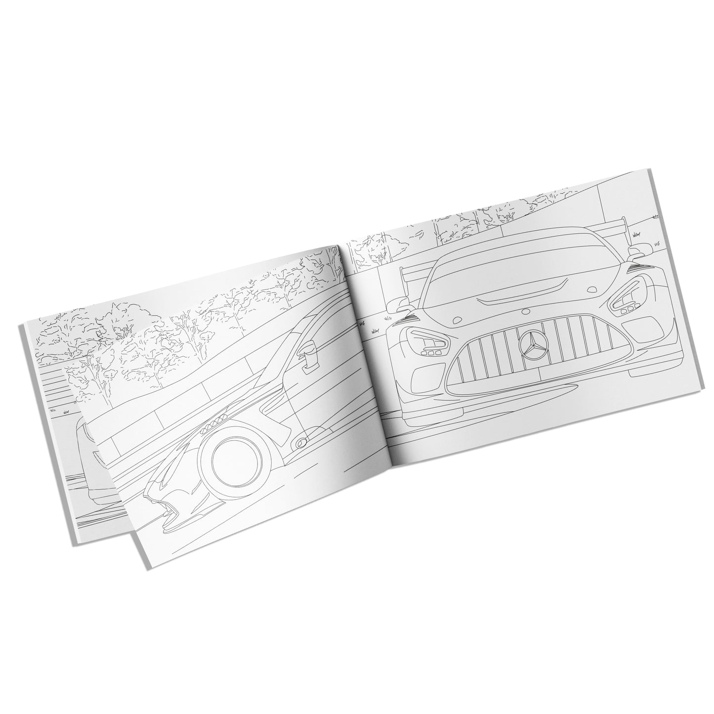 2025 Season Colouring Book