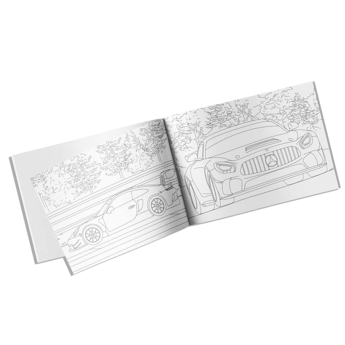 2026 Season Colouring Book